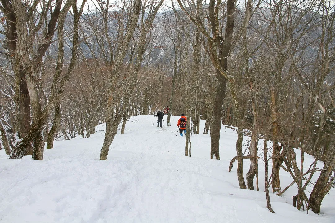 木々の雪は落ちていた