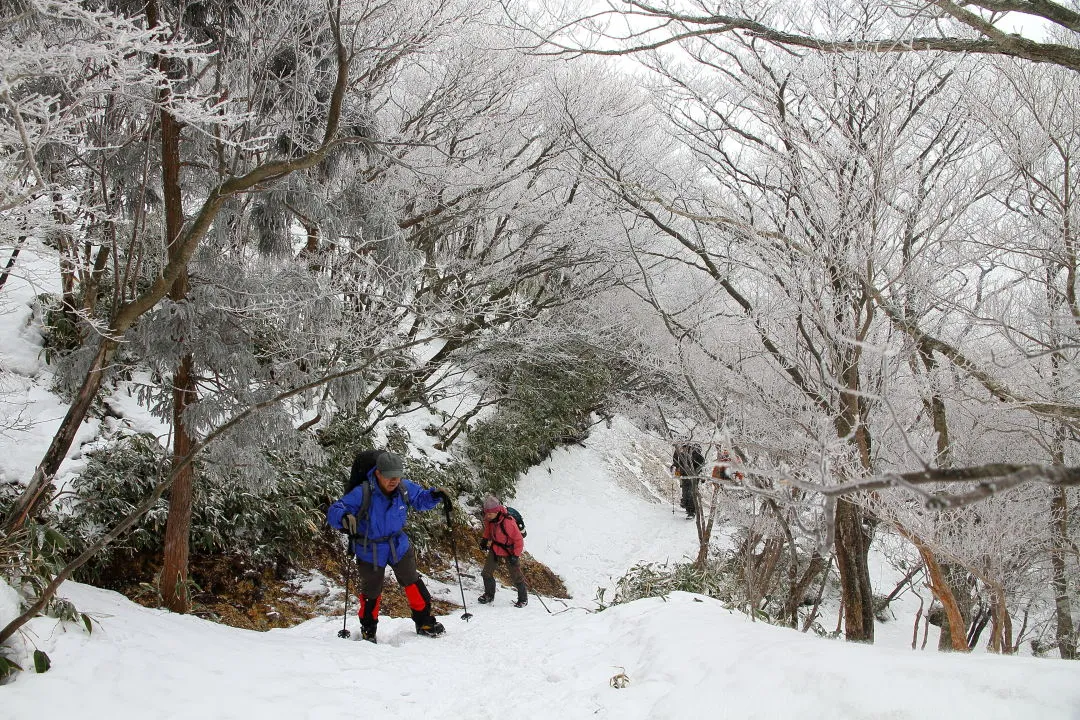 登山道