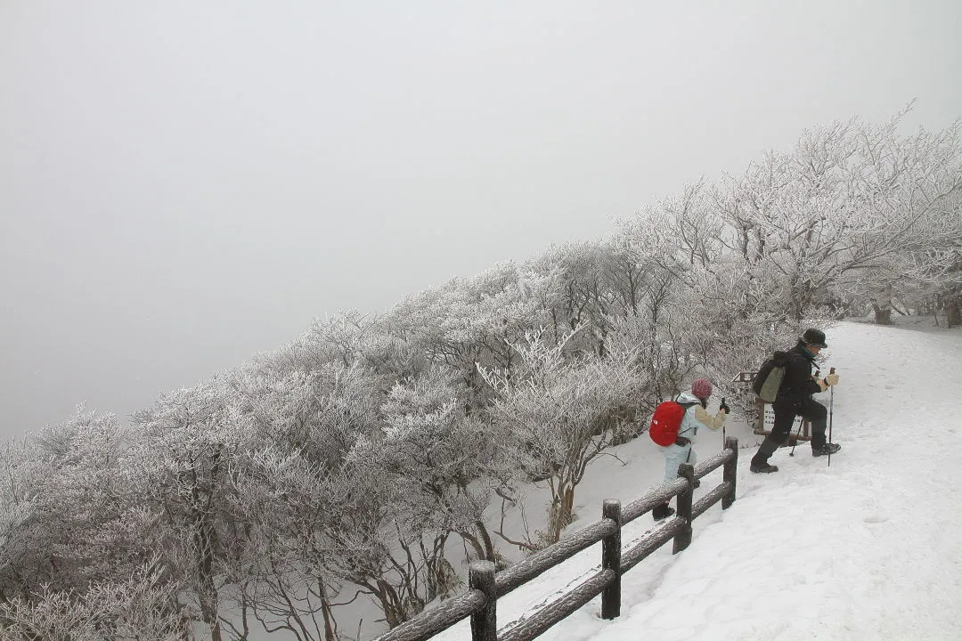 裏道から山上公園に出る