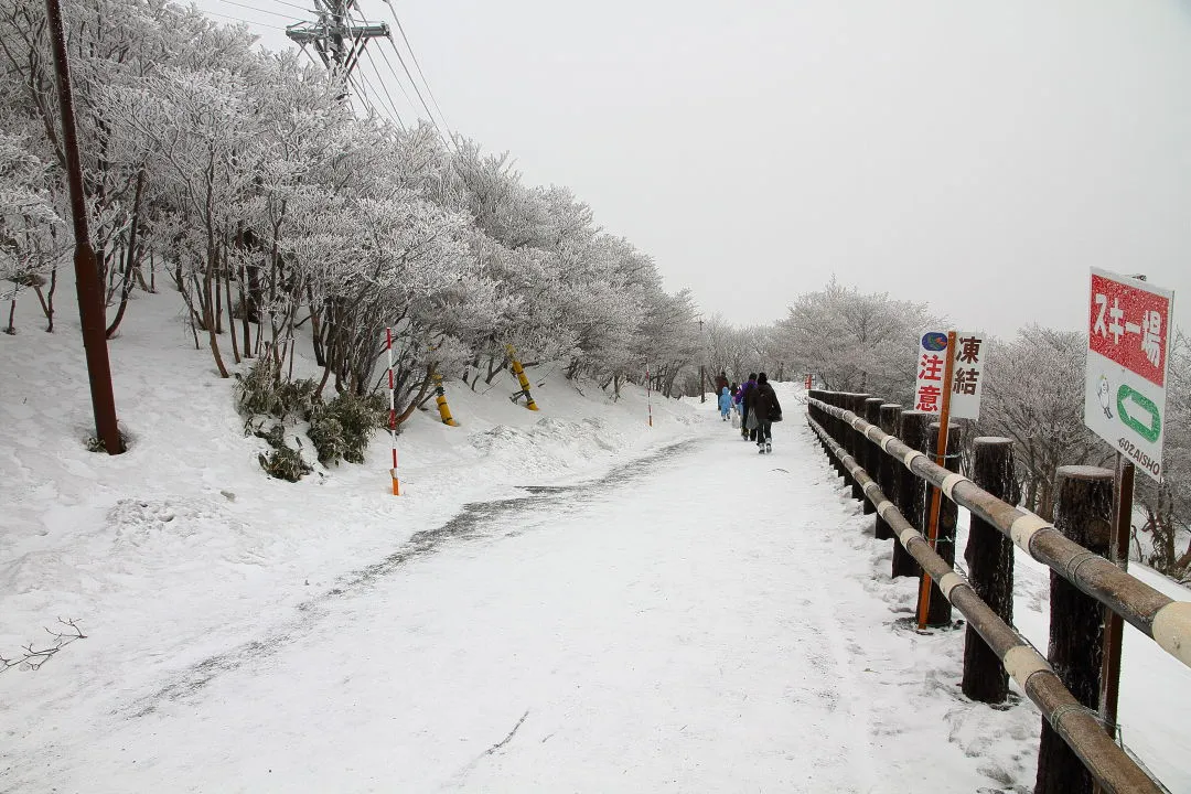 舗装路をスキー場へ