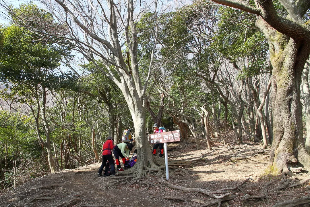 表登山道四合目