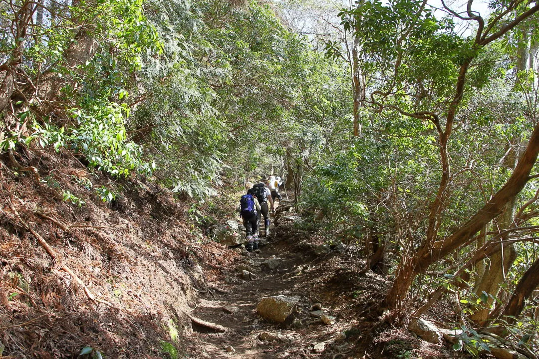 表登山道