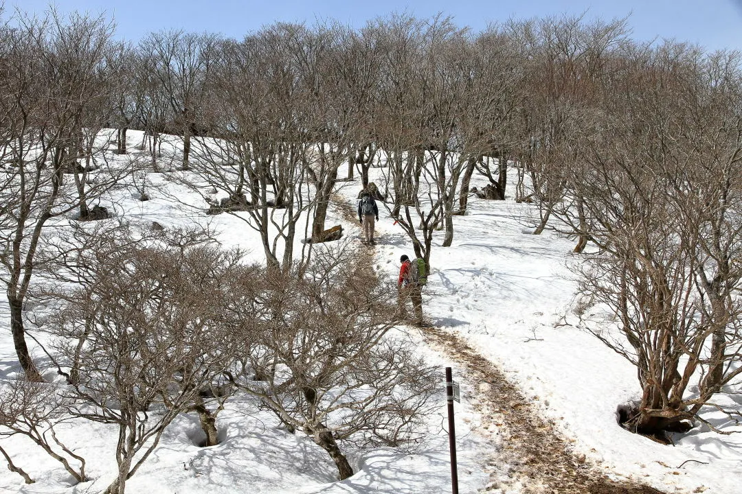 天狗岩への登山道