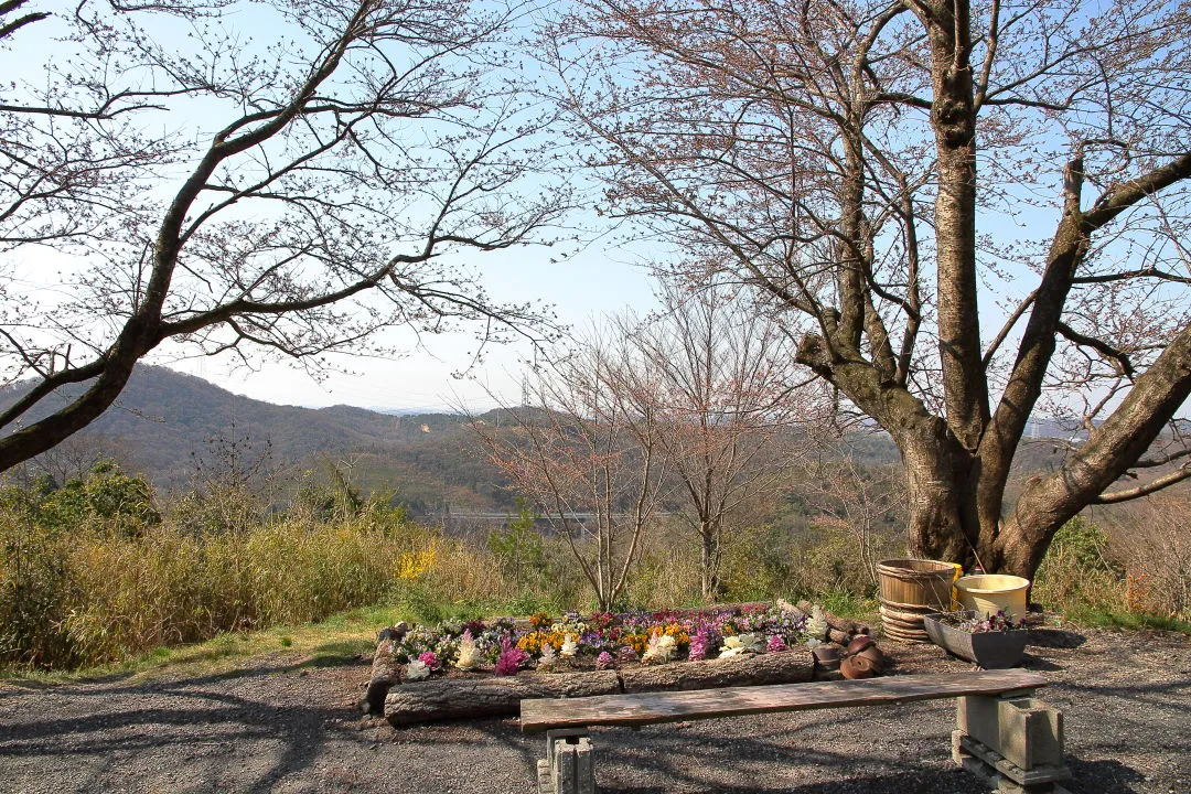 前山の広場から