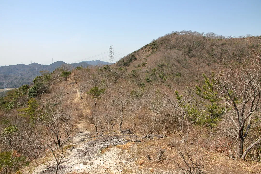 前方の惣山へ