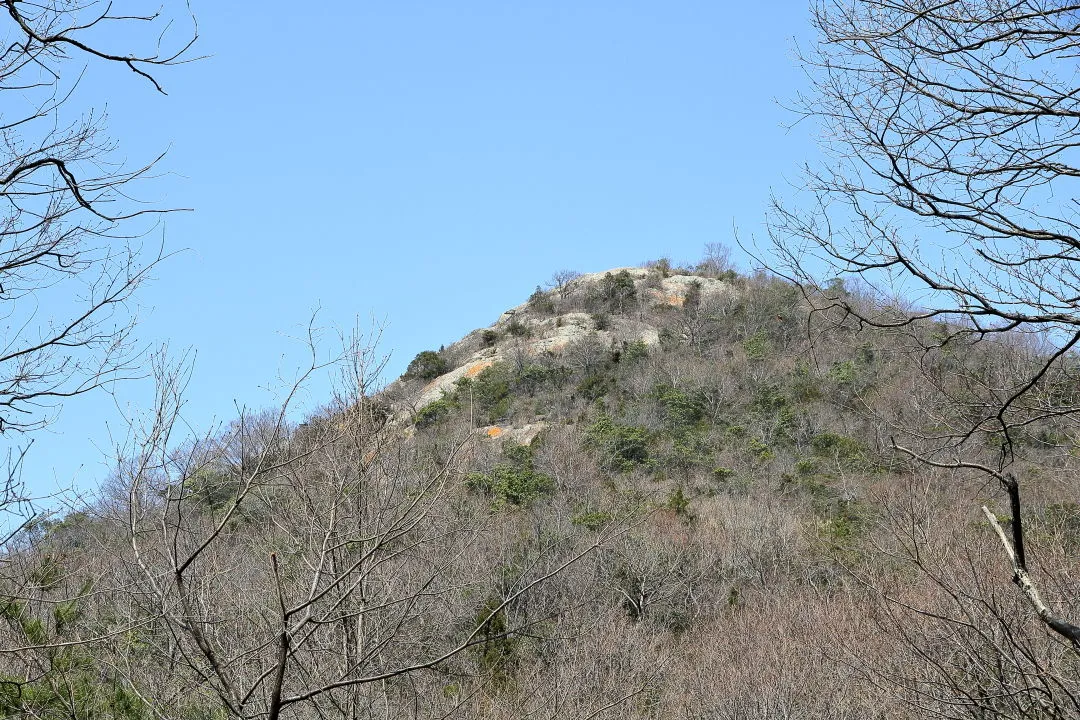 西林間広場から紅山