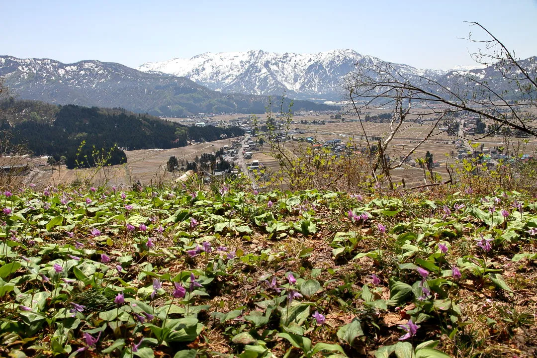 六万騎山から