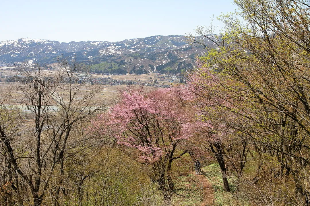 六万騎山山頂付近から