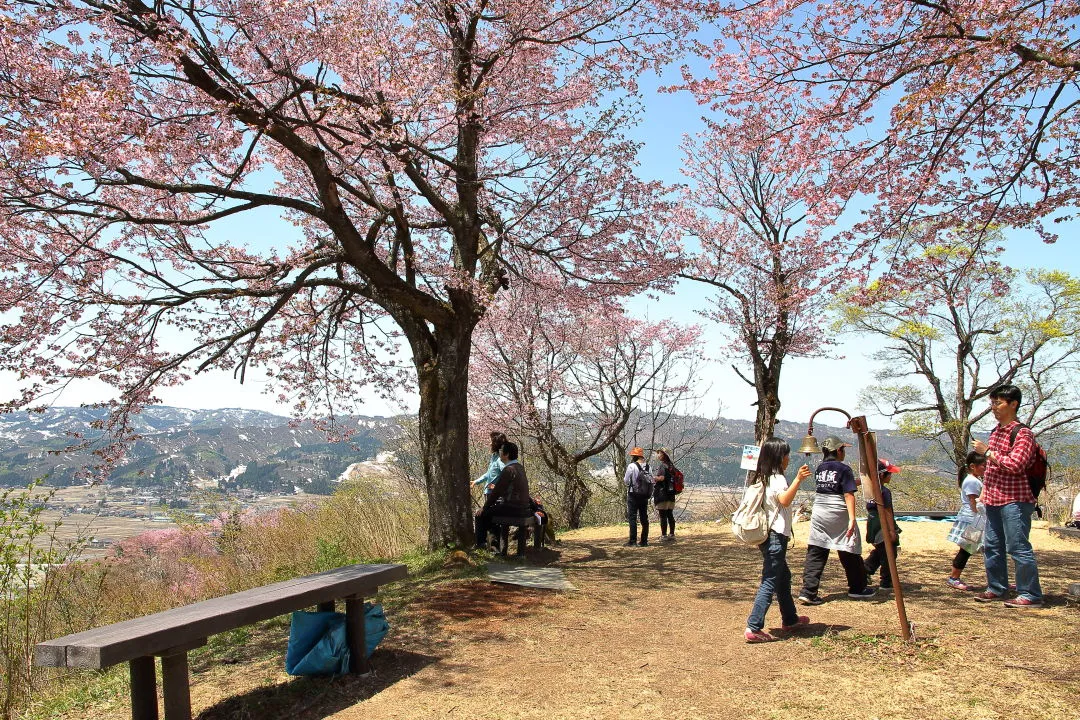 六万騎山山頂