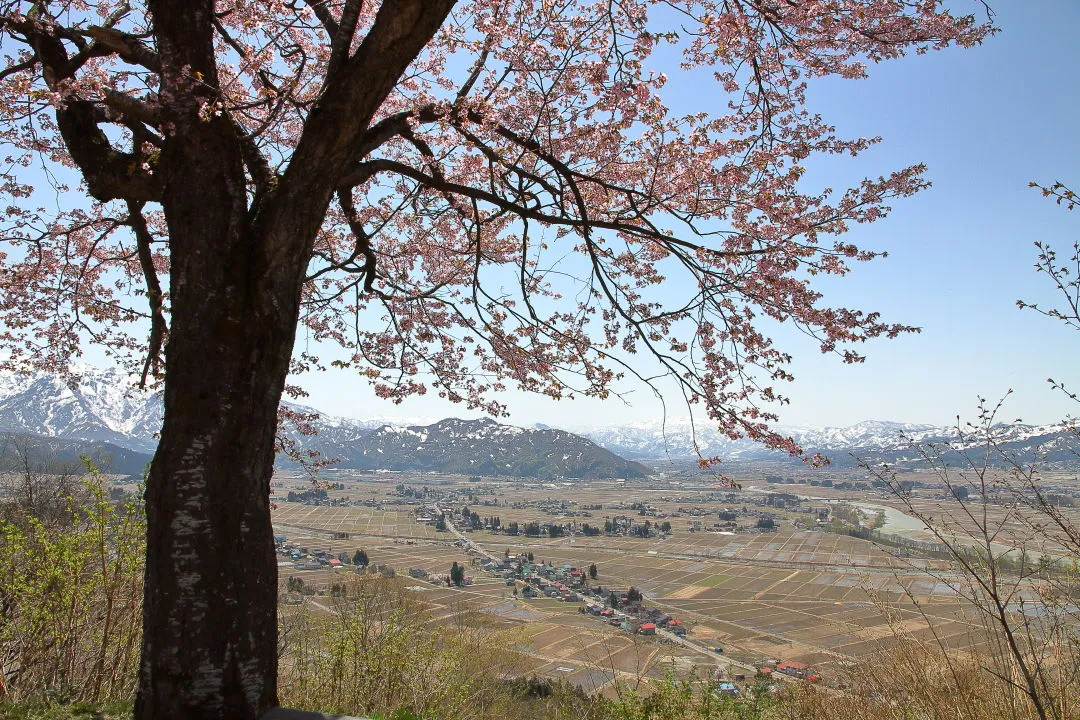 六万騎山山頂から