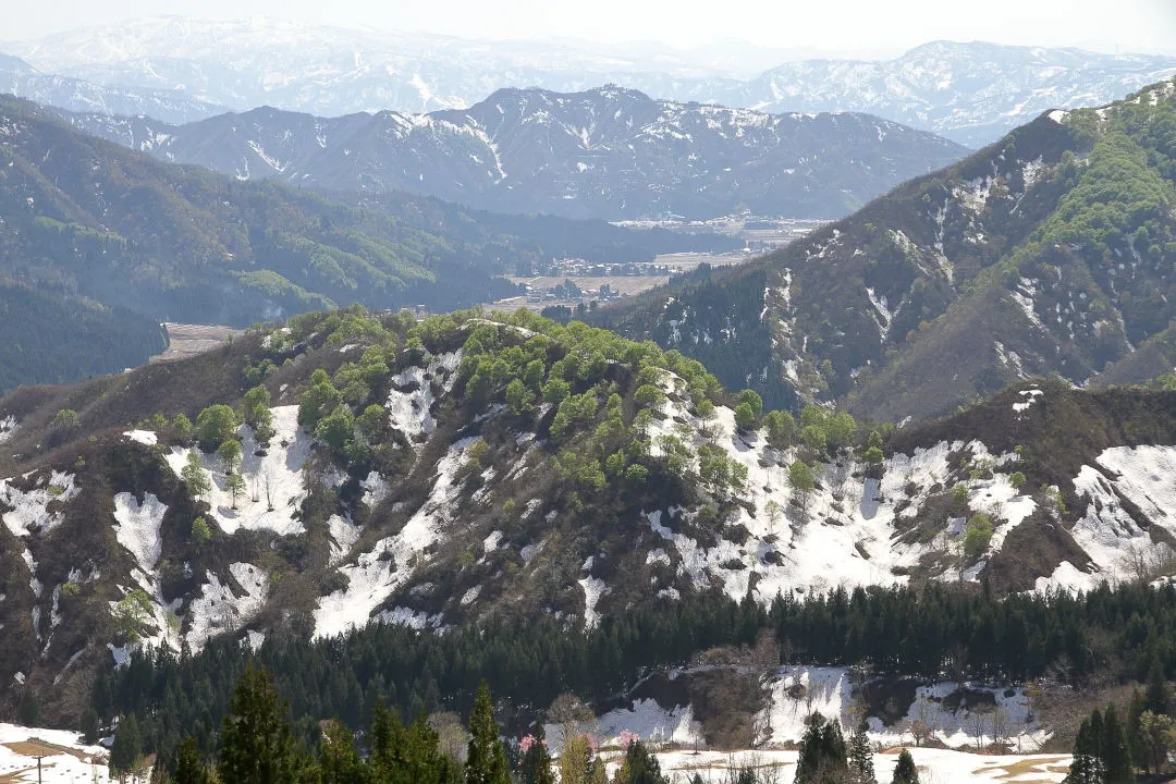 残雪の山にも新緑