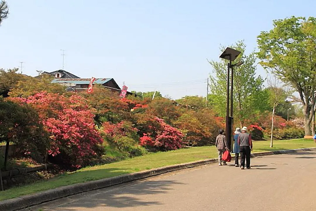 つつじが岡公園