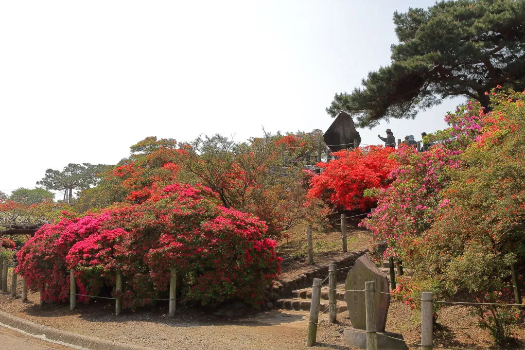 つつじが岡公園