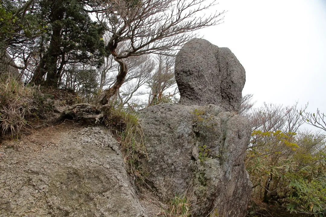 国見岳の岩