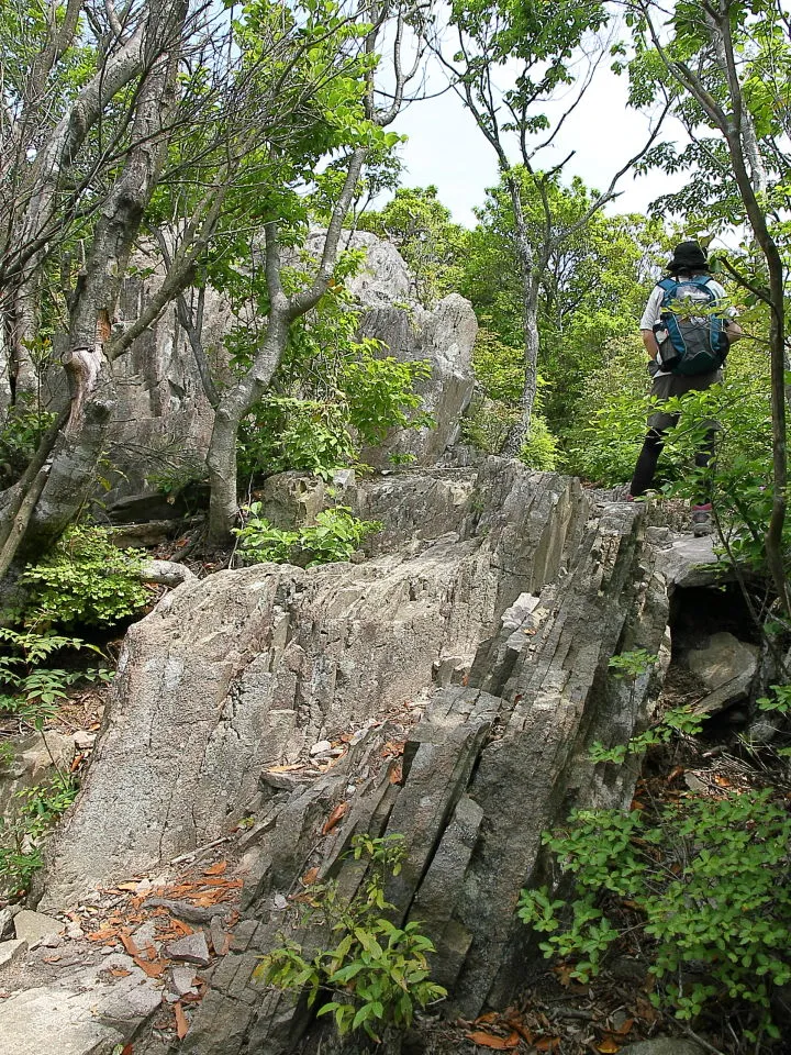 山頂手前の岩場