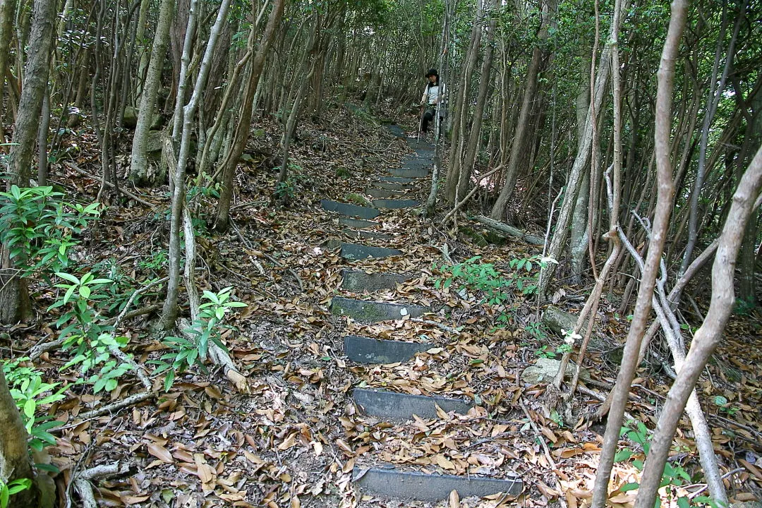 急な登山道