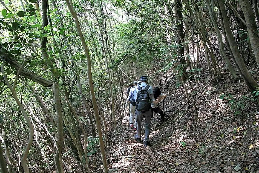 虚空蔵山へ向かう人