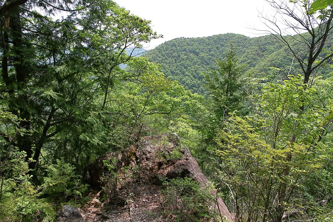 視界が開けた下山道