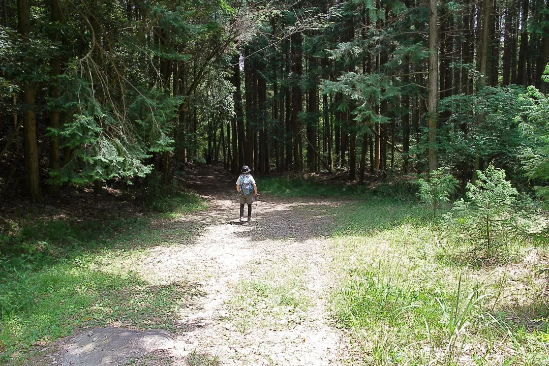 山道は終わり