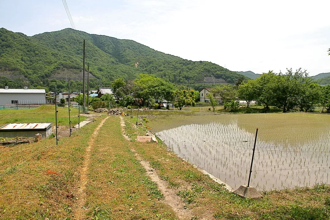 草野駅近くの集落