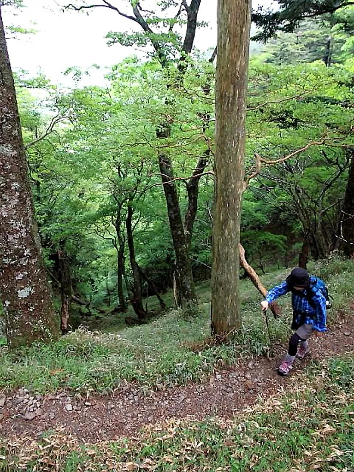 日本岳分岐から急斜面を振返る