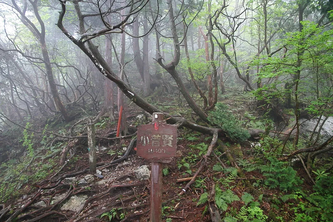 小普賢は雲の中