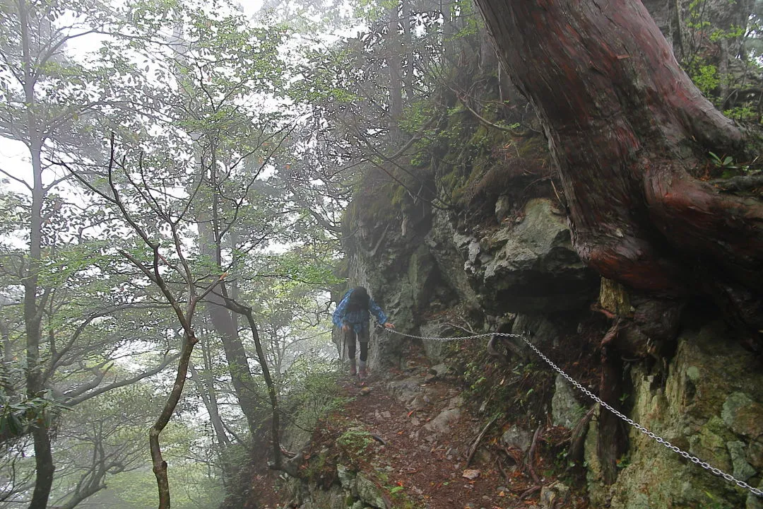 登山道