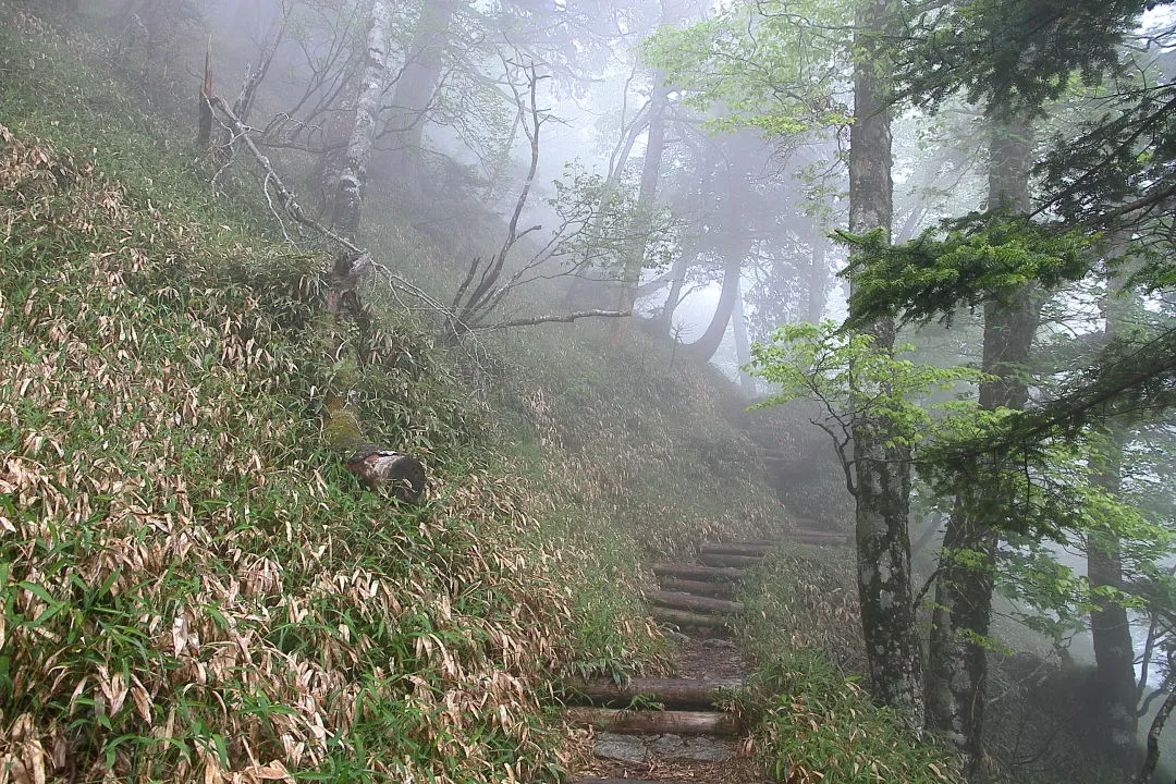 大峯奥駈道出合もうすぐ