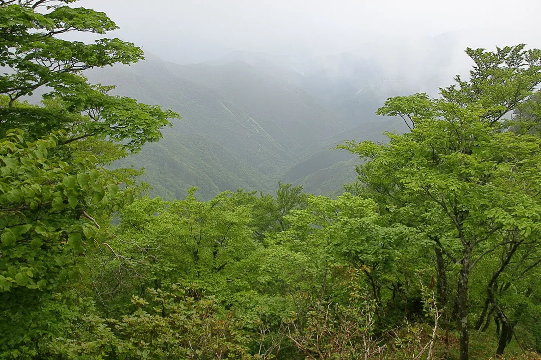 大峯奥駈道