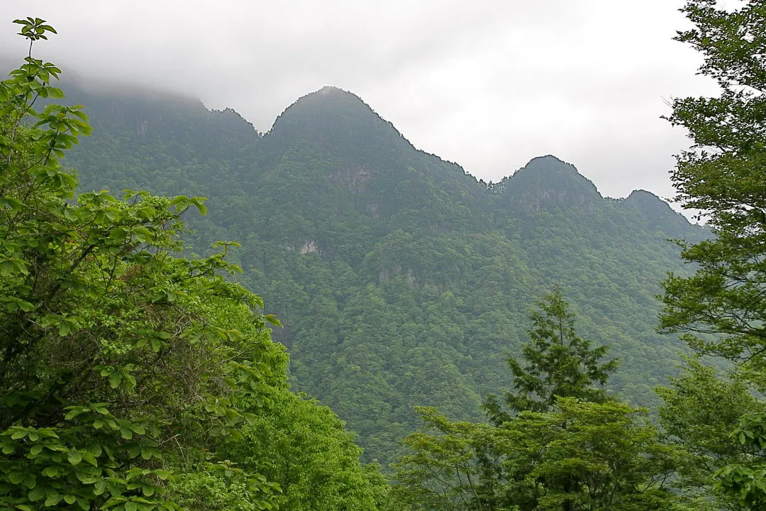 七曜岳登山道から大普賢岳