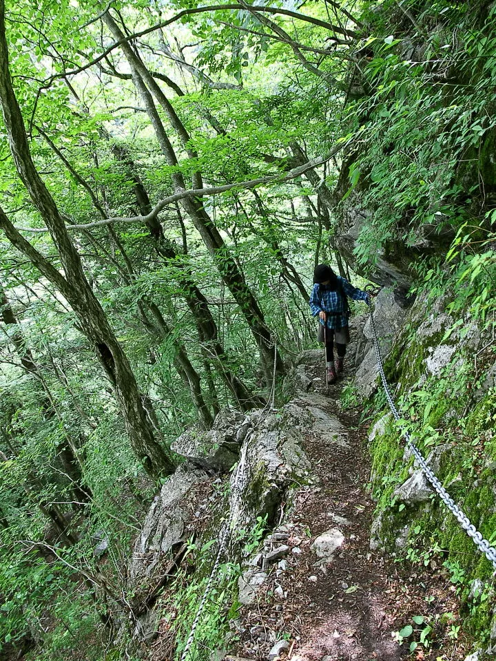 登山道