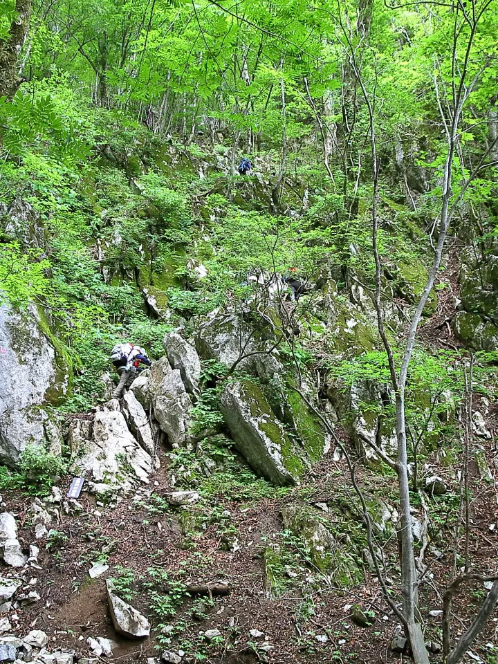 登山道