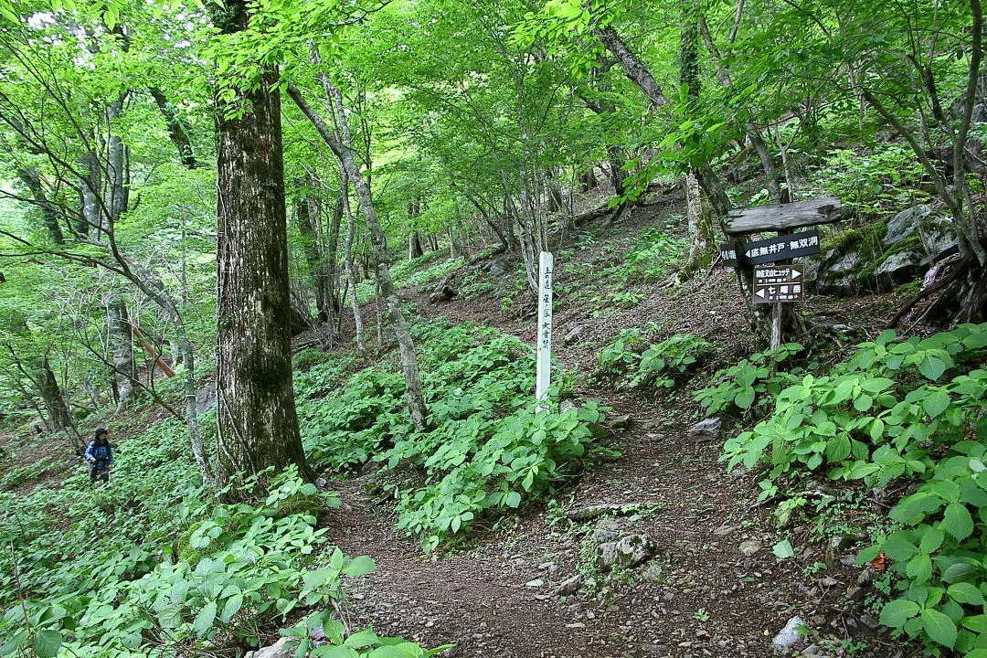 岩本新道分岐