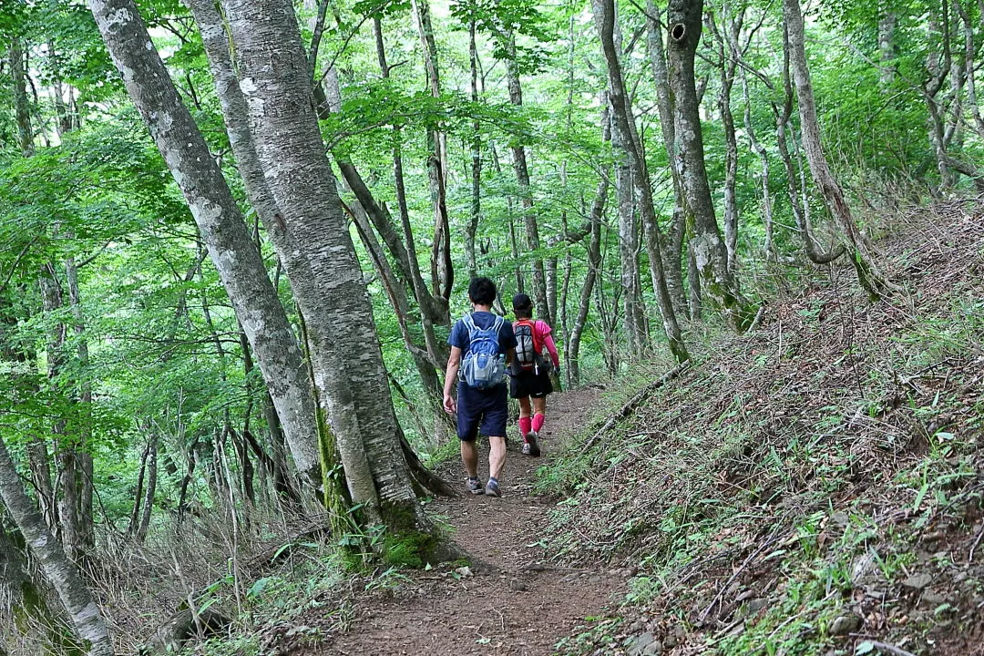 和佐又山ヒュッテへ