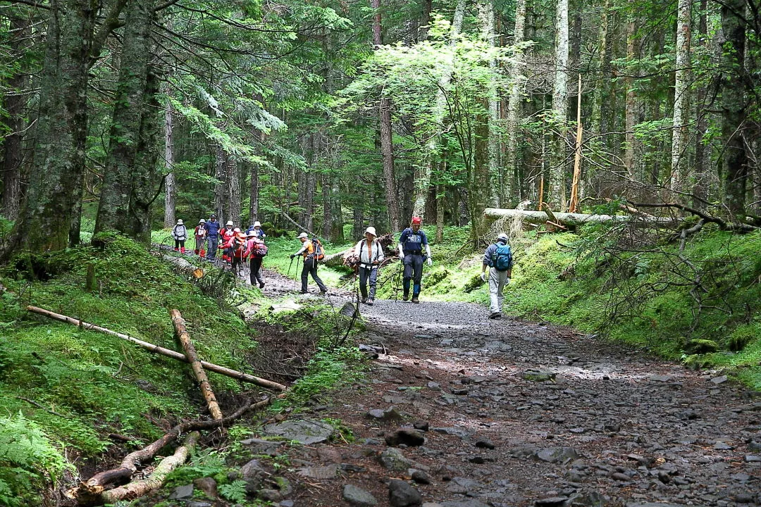 栁川北沢ルート