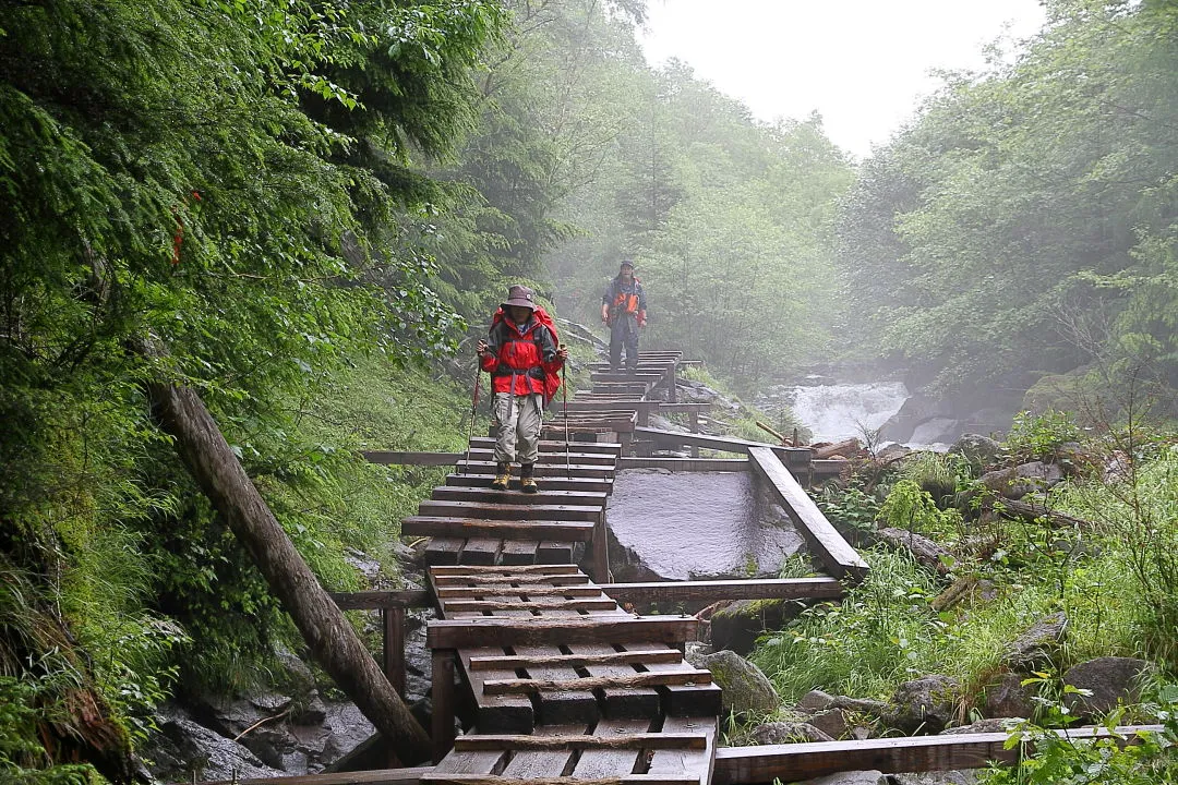 栁川北沢の木道