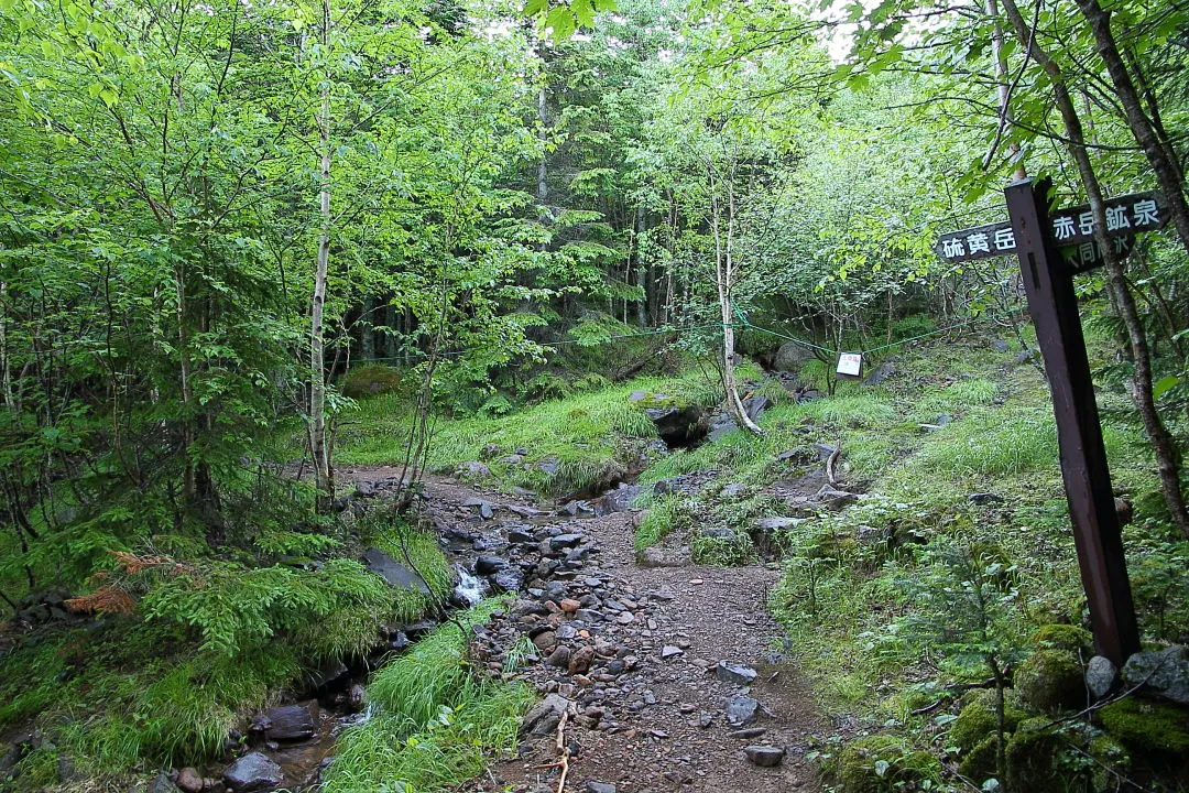 硫黄岳への登山道