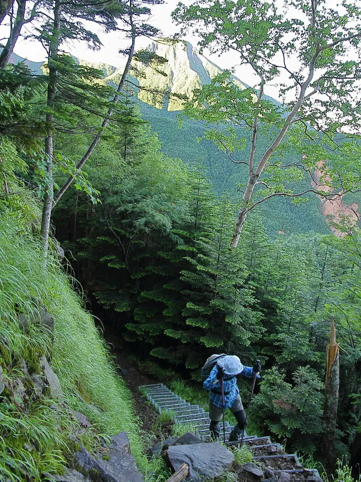 登山道の階段