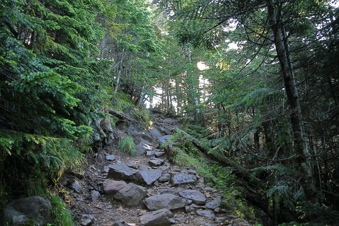 登山道