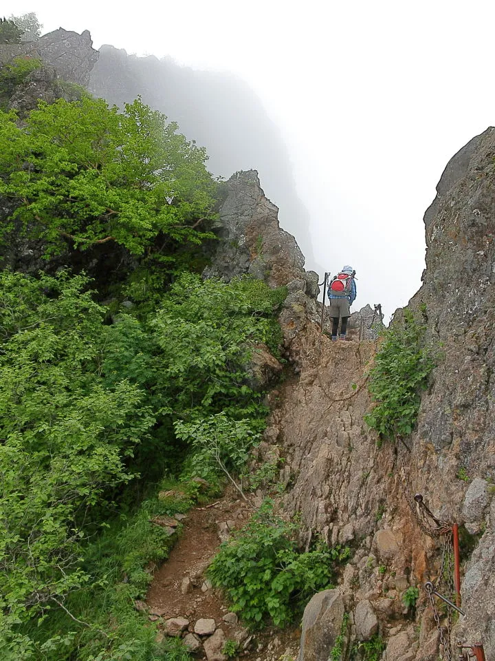 横岳への登山道