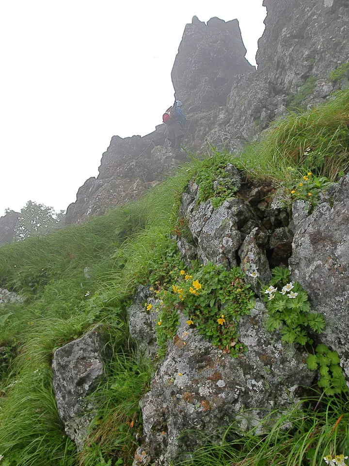 横岳への登山道