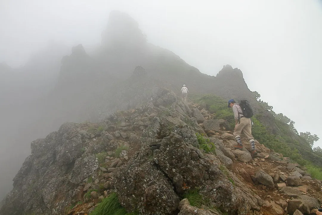 登山道の霧