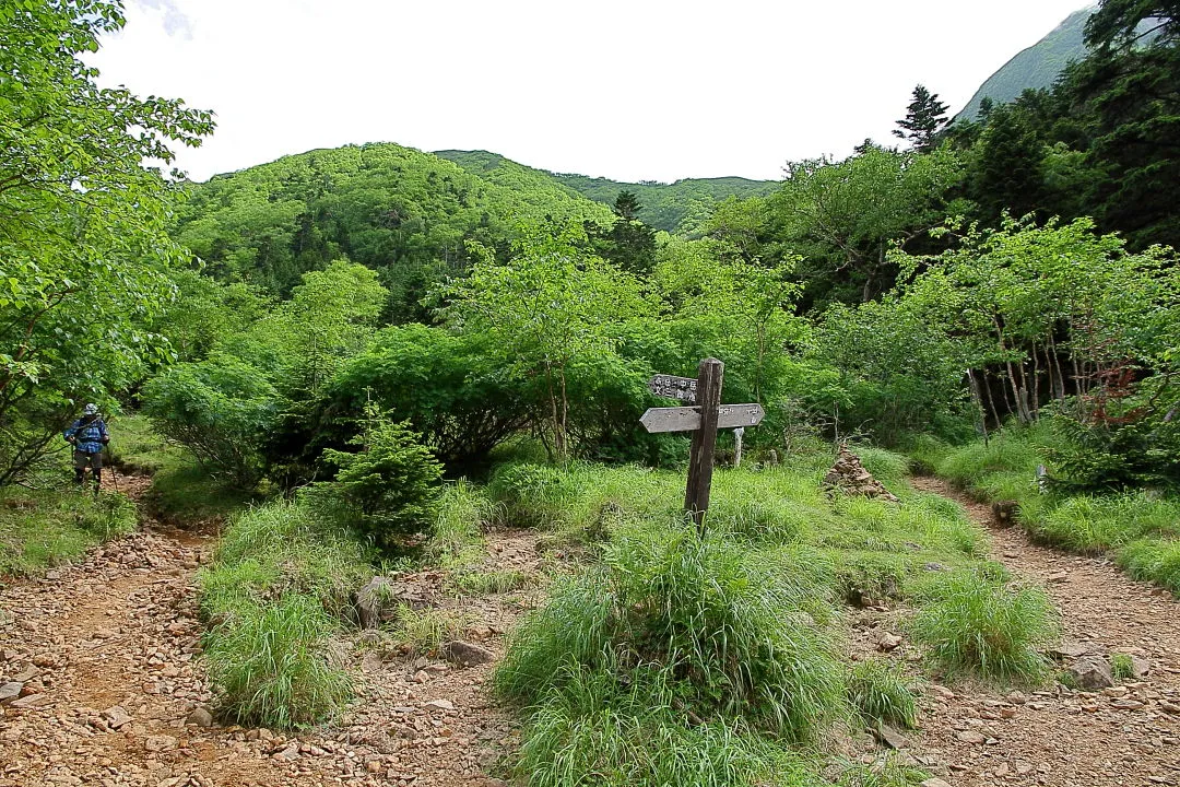 中岳道分岐