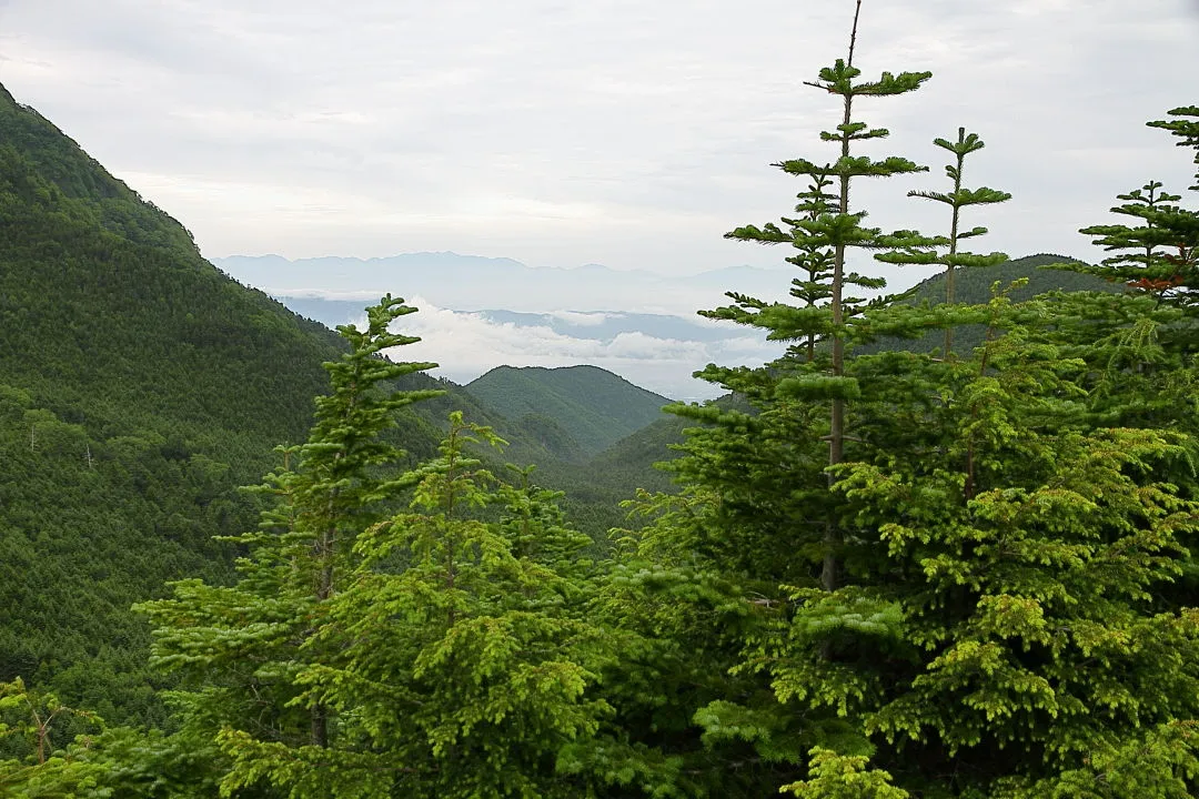 中山尾根展望台から