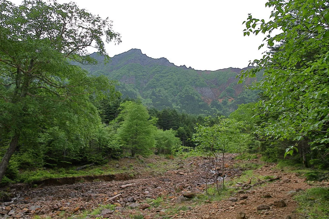 栁川南沢