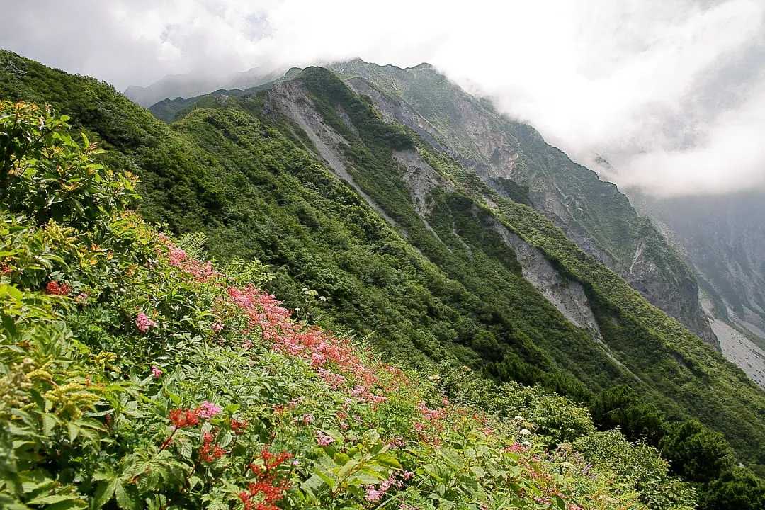 雲がかかり出した山頂部