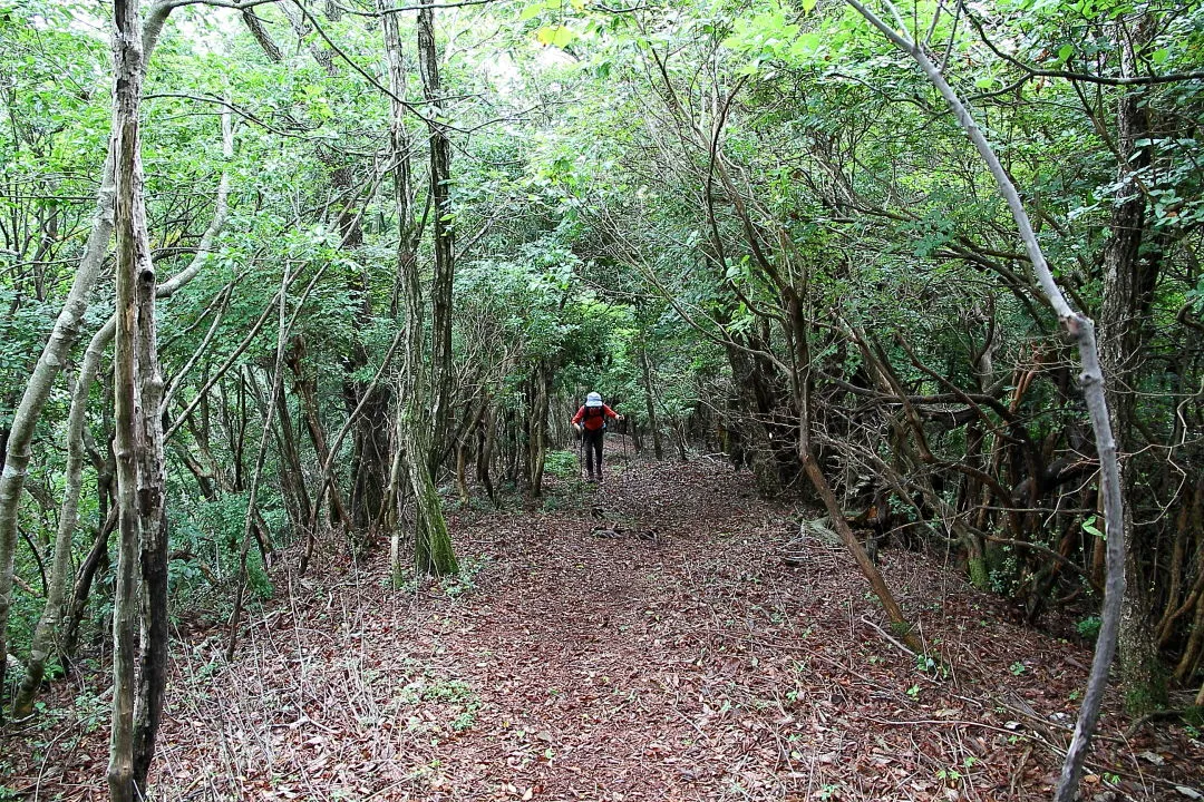 多紀連山縦走コース