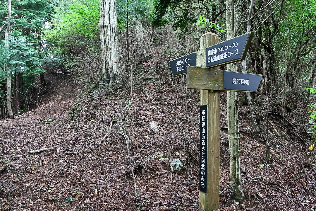 滝めぐり周回コース