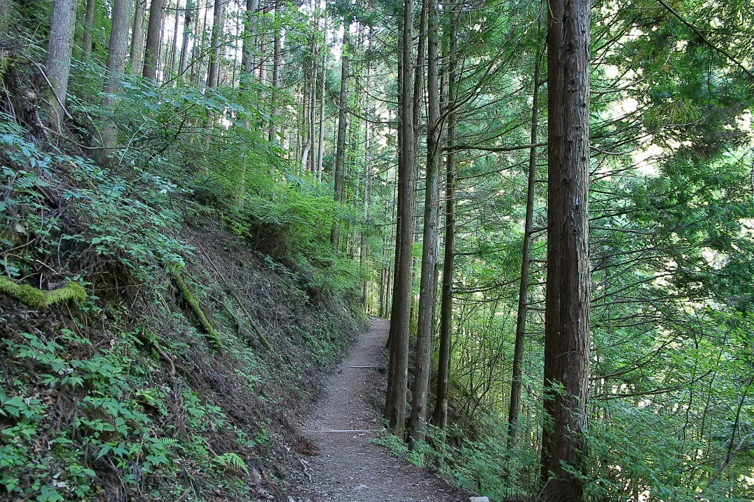 みたらい遊歩道