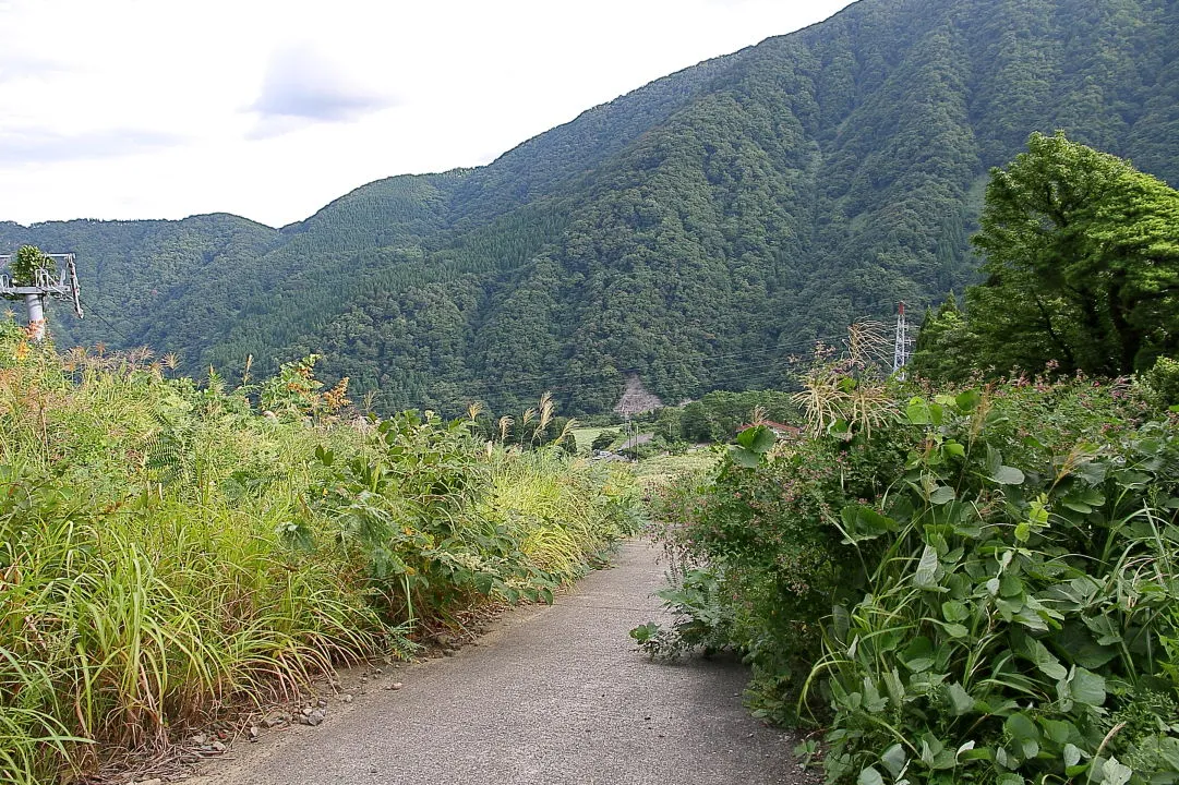 元スキー場ゲレンデの舗装路